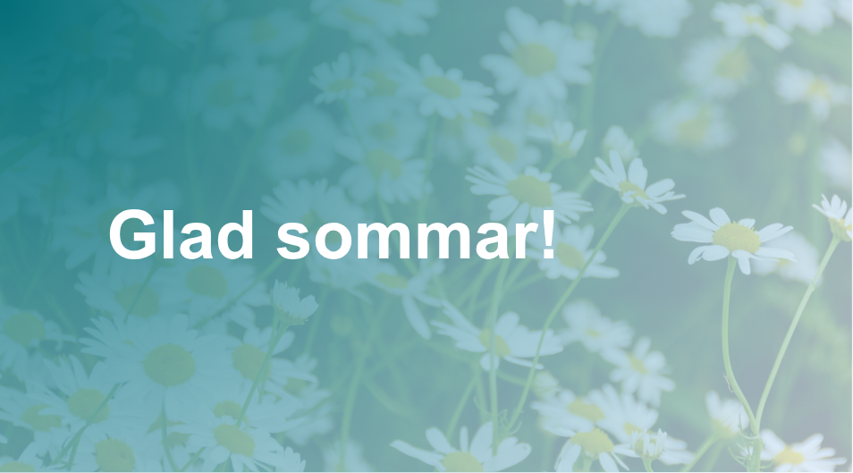 Blommor på en äng